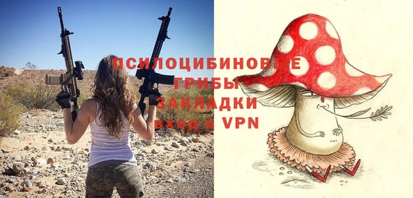 PSILOCYBIN Вязники