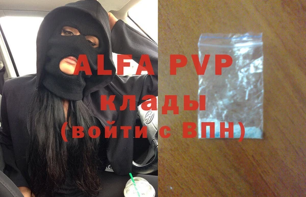 spice Вяземский