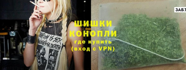 spice Вяземский
