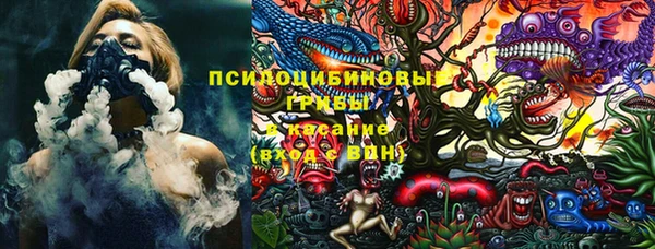 spice Вяземский