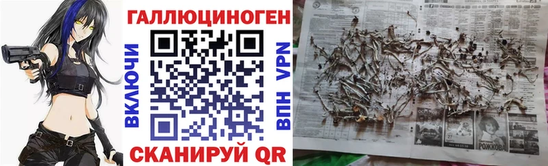 Псилоцибиновые грибы Magic Shrooms  Липецк 